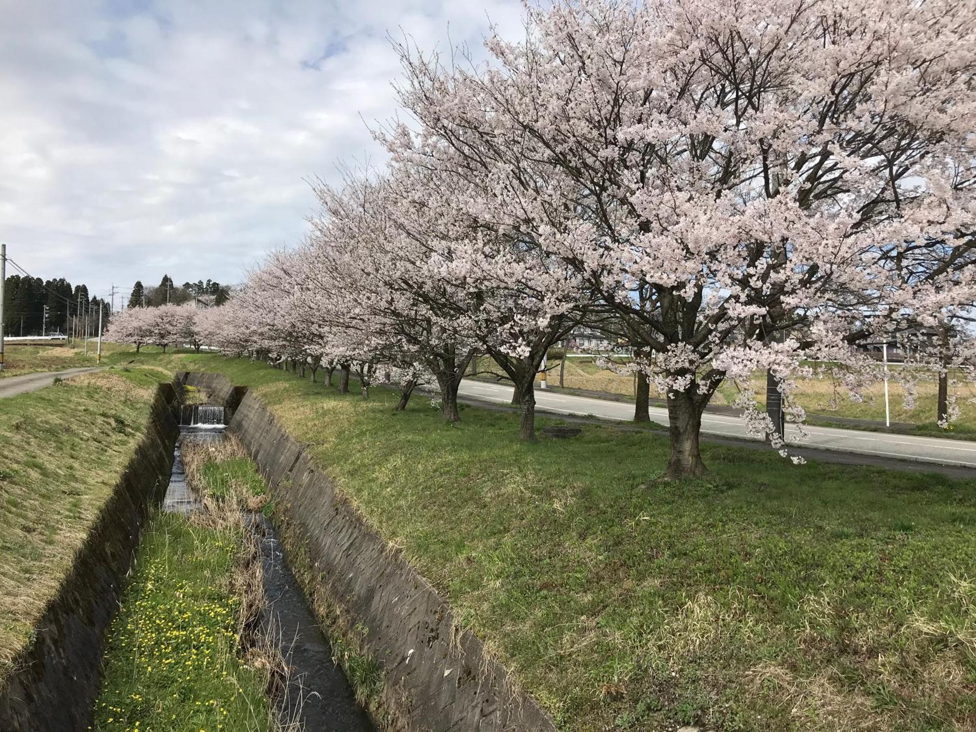 ヨーコのお宿 わくわく Toyama Exterior foto
